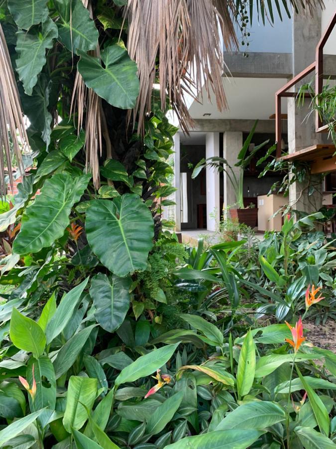 Vila Das Aguas อาชินส์ ภายนอก รูปภาพ